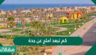 كم تبعد املج عن جدة وعن المدن السعودية الأخرى