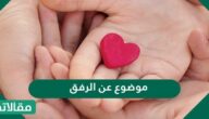 موضوع عن الرفق قصير جدًا