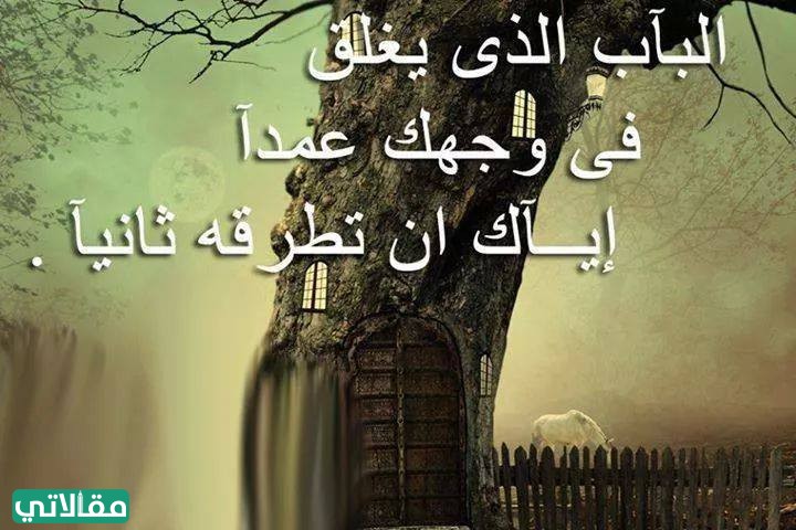 كلمات فخر واعتزاز بشخص