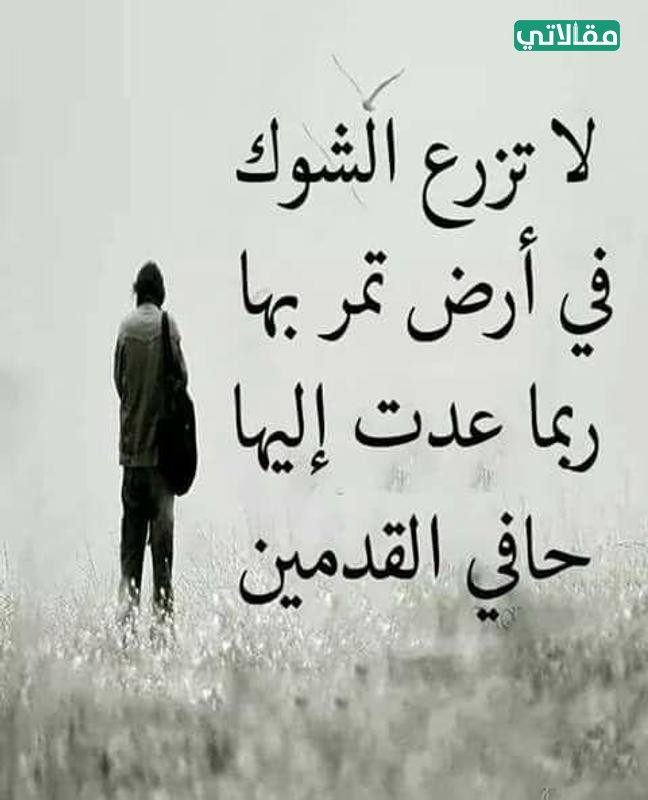 كلام عن قسوة البشر