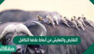 التقايض والتعايش من أنماط علاقة التكافل