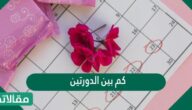 كم بين الدورتين