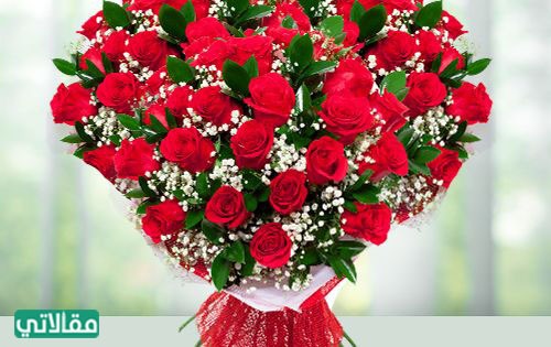 صور طبيعية للتهنئة