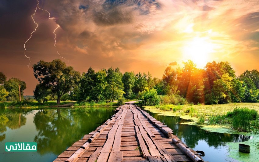 صور من الطبيعة