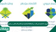 أسهمت الحكومة في الحد من البطالة المتنامية نتيجة النمو السكاني عن طريق