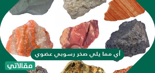 أي مما يلي صخر رسوبي عضوي