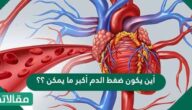 أين يكون ضغط الدم أكبر ما يمكن ؟؟