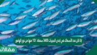 إذا كان عدد الأسماك في إحدى البحيرات ٣٤٠٠ سمكة، ١٠٪ منها من نوع الهامور، فإن عدد أسماك الهامور في البحيرة يساوي ٣٤٠ سمكة .