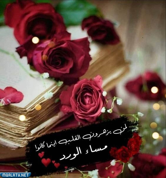 اجمل كلام مساء الخير