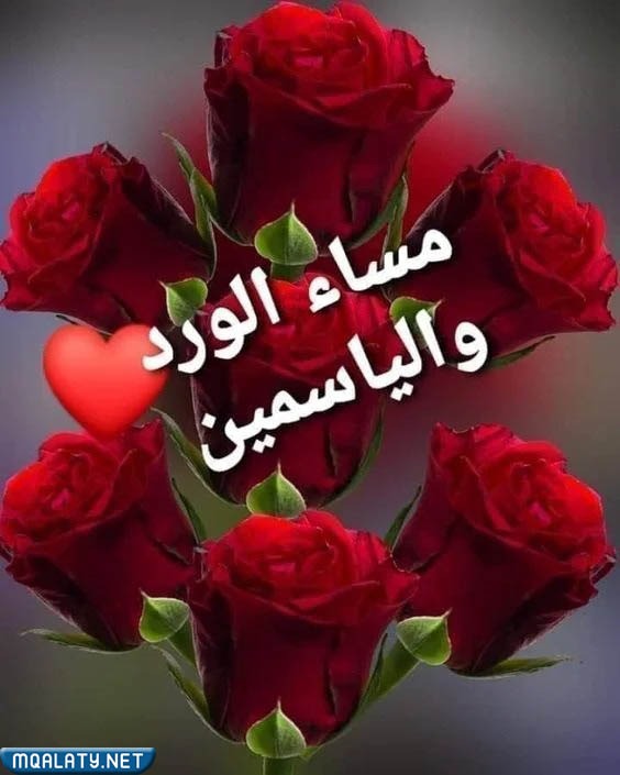 اجمل كلام مساء الخير