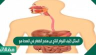 السائل كثيف القوام الناتج عن هضم الطعام في المعدة هو