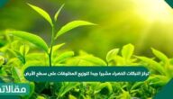 تركز النباتات الخضراء مشيرا جيدا لتوزيع المخلوقات على سطح الأرض