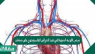 تسمى الأوعية الدموية التي تعيد الدم إلى القلب وتحتوي على صمامات تضمن تحرك الدم في اتجاه القلب بالأوردة