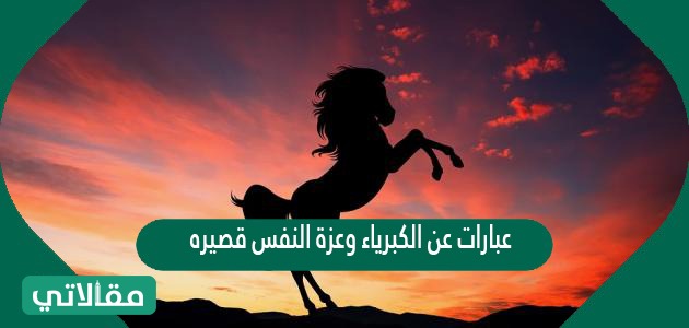 عبارات عن الكبرياء وعزة النفس قصيرة