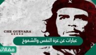 عبارات عن عزة النفس والشموخ