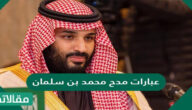 عبارات مدح محمد بن سلمان