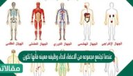 عندما تجتمع مجموعه من الاعضاء لاداء وظيفه معينه فأنها تكون