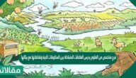 فرع متخصص من العلوم يدرس العلاقات المتبادلة بين المخلوقات الحية وتفاعلاتها مع بيئاتها