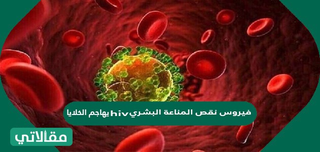 Hiv المناعة الخلايا نقص يهاجم البشري فيروس أهم خمسة