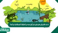 قد نجد نظام بيئي صغير يحتوى على أنواع عديده من المخلوقات الحيه والاشياء غير الحيه؟