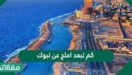كم تبعد أملج عن تبوك
