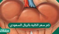 كم سعر الكلية بالريال السعودي