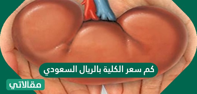 كم سعر الكلية بالريال السعودي