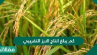 كم يبلغ انتاج الارز التقريبي