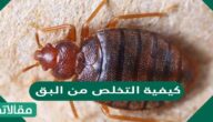 كيفية التخلص من البق