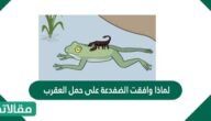 لماذا وافقت الضفدعة على حمل العقرب