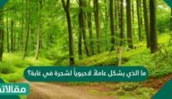 ما الذي يشكل عاملاً لاحيوياً لشجرة في غابة؟