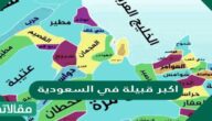 ما هي اكبر قبيلة في السعودية