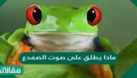ماذا يطلق على صوت الضفدع