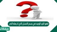 ماهو الجزء الوحيد في جسم الانسان الذي لا يصله الدم
