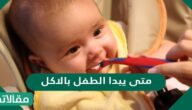متى يبدا الطفل بالاكل