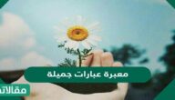 معبرة عبارات جميلة