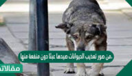 من صور تعذيب الحيوانات صيدها عبثا دون منفعة منها