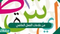 من علامات الفعل الماضي