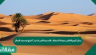 يمثل الربع الخالي موطنا للحضارات القديمة التي اندثرث أغلبها وغمرته الرمال