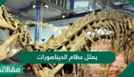 يمثل عظام الديناصورات