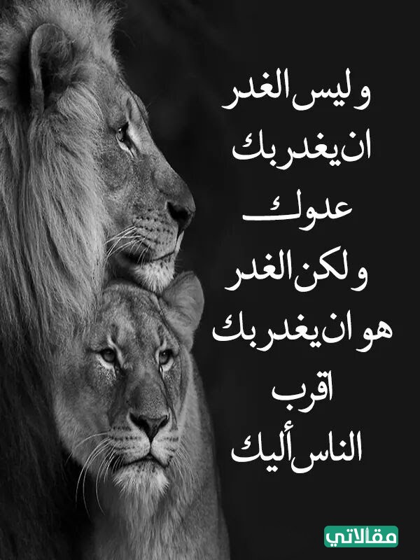 كلام عن الغدر من اقرب الناس