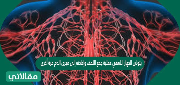 يتولى الجهاز اللمفي عملية جمع اللمف وإعادته إلى مجرى الدم مرة أخرى