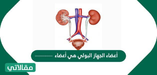 ما هي الاعضاء التي لا يحتاجها الانسان