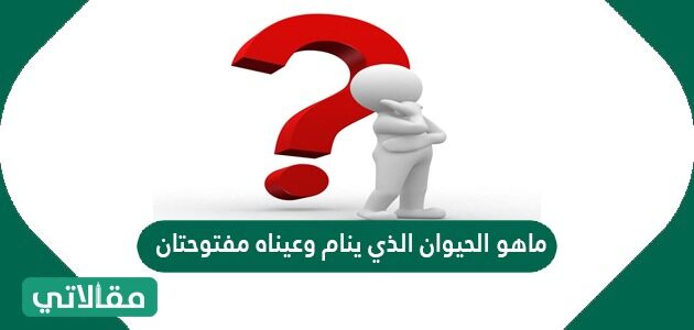 الحيوان الذى ينام وعيناه مفتوحتان