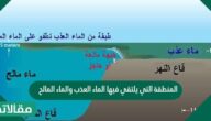 المنطقة التي يلتقي فيها الماء العذب والماء المالح تشكل بيئة للعديد من المخلوقات الحيه