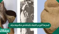 اتسم هذا النوع من الخزفيات بالرشاقة في شكله ورقة جدرانه