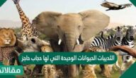 الثدييات الحيوانات الوحيدة التي لها حجاب حاجز