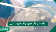الديدان والبكتيريا والفطريات من