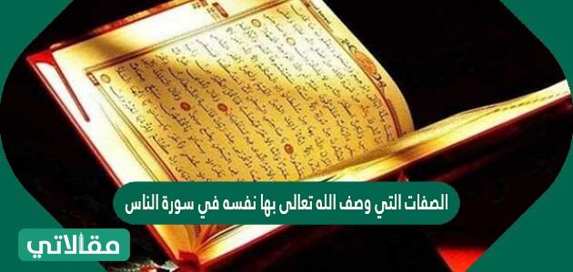 السورة القرآنية التي ذكر فيها الذباب هي سورة