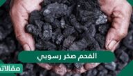 الفحم صخر رسوبي